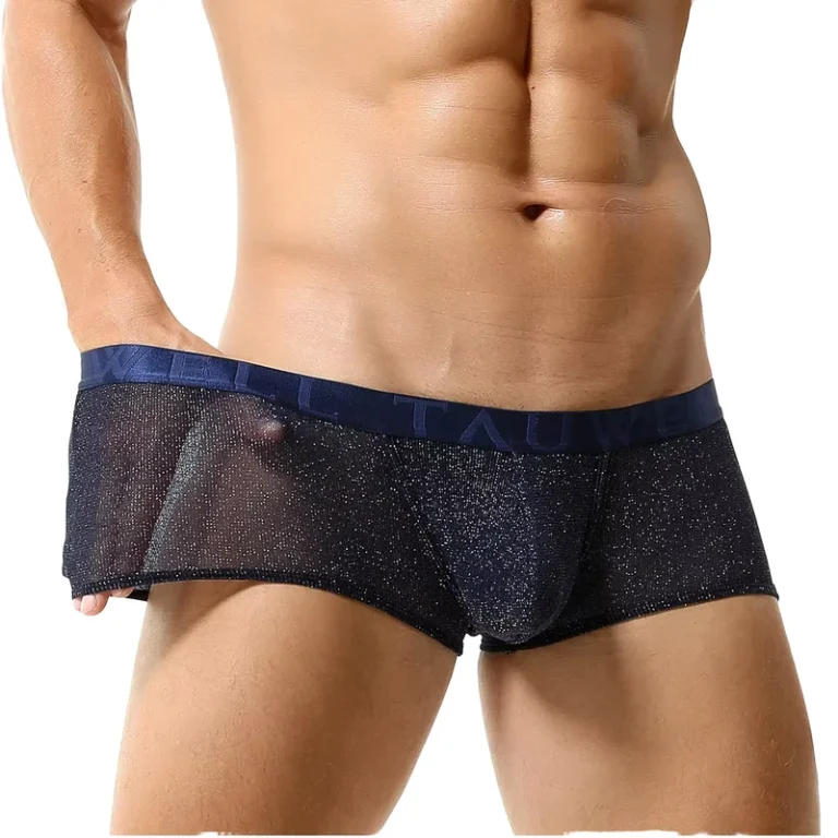 Mens-Mid-Rise-Ultra-Thin-Shiny-Boxer-Briefs-Semi-Transparent-Sexy-Mesh-Panties-Breathable-Sheer-See-Through-Mens-Underwear